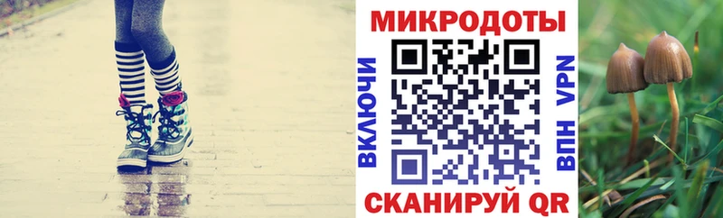 Галлюциногенные грибы мухоморы  наркота  Ялуторовск 