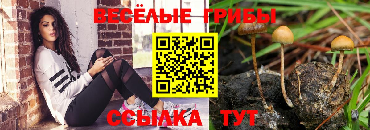 Псилоцибиновые грибы GOLDEN TEACHER  купить закладку  Псилоцибиновые грибы Magic Shrooms  Ялуторовск  Вход с VPN 